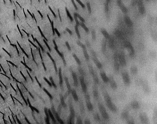 Currypeitsche meiner Lust Currypeitsche