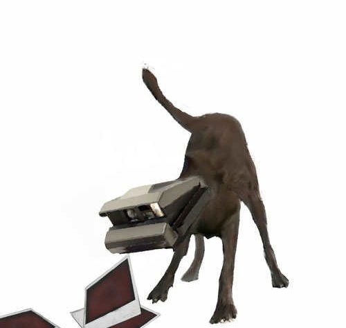 Leipzig im Parlandopark parlandodog Leipzig im Parlandopark