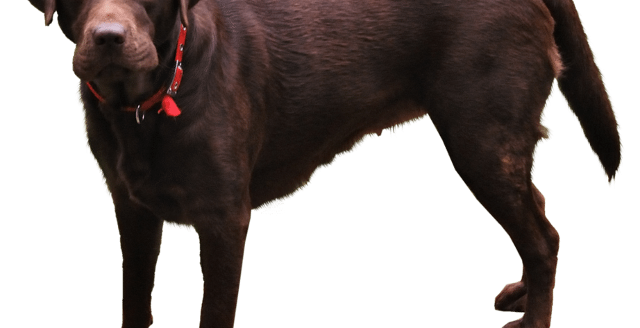 15647149802 7c5dd15d24 o Dreidreißig- Ein ganz okayer Podcast