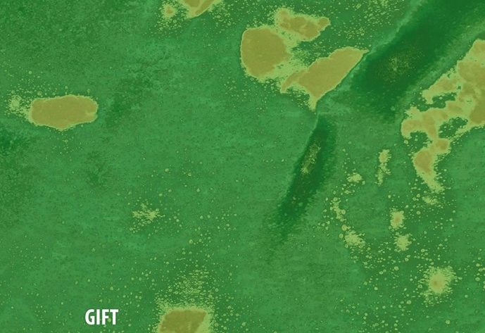 46391115 10161200530565473 6052283577821822976 n Lesung Nerv-Magazin: GIFT