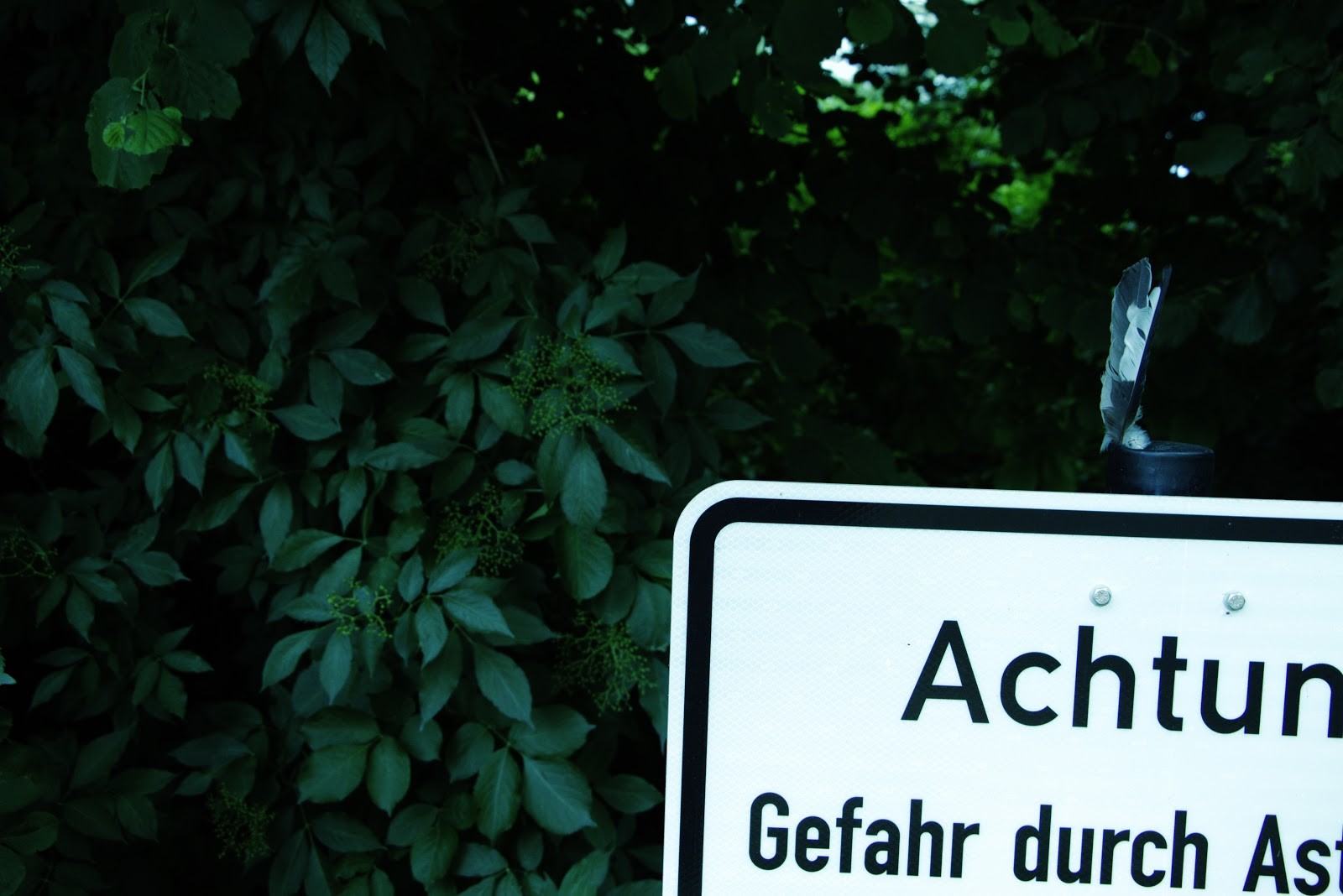 Titelbild für Birdz Folge 2