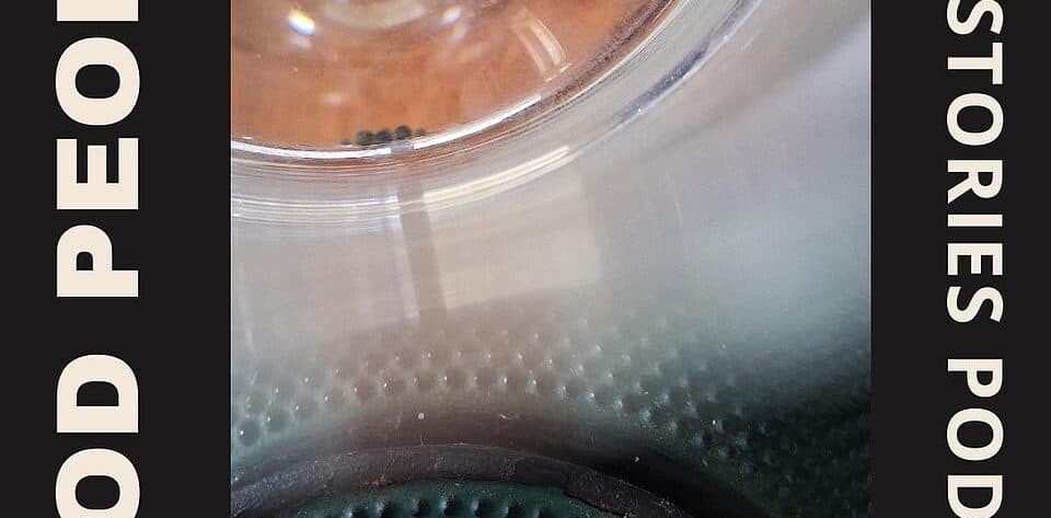 artwork 3000x3000 3 25: OmaFlummi ist fasziniert von klugen Köpfen