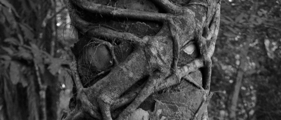 dsc 0207 2 min min 2 Wie du stolperst, wenn du gehst