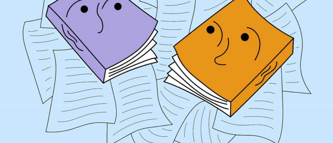 Shida Bazyar, was muss sich ändern? Vielseitig Podcast